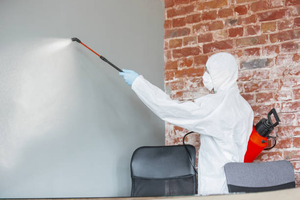 Best Mold Remediation for Healthcare Facilities  in Mountainair, NM