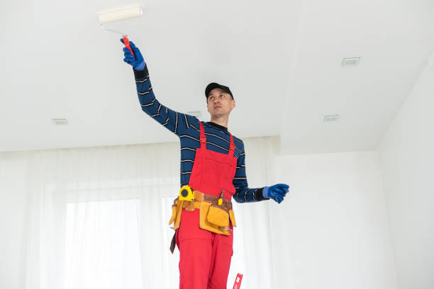 Best Commercial Mold Inspection  in Mountainair, NM