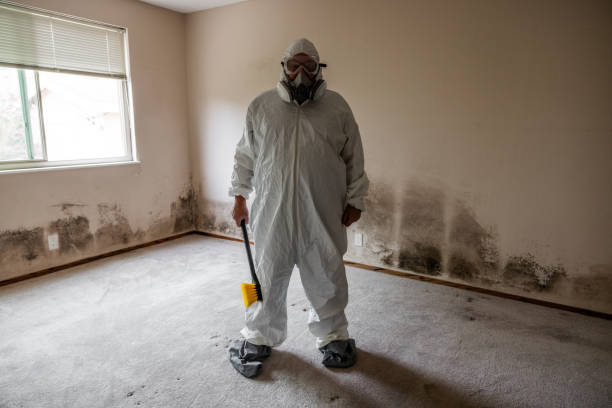 Best Real Estate Mold Inspection  in Mountainair, NM