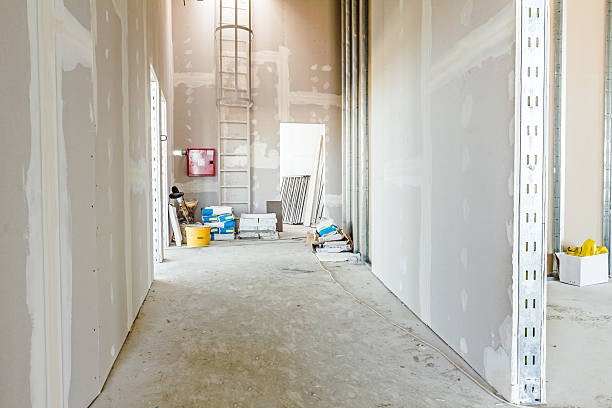 Best Post-Remediation Verification Testing  in Mountainair, NM
