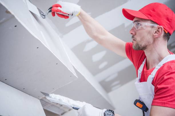 Best Crawl Space Mold Remediation  in Mountainair, NM